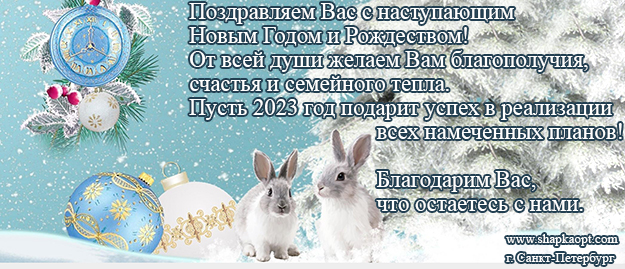 С Новым 2023 годом